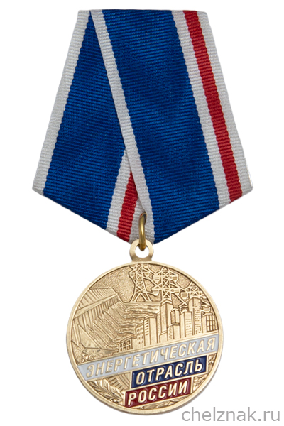 Медаль «За многолетний добросовестный труд в энергетической отрасли» с бланком удостоверения