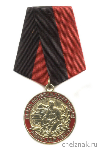 Медаль «Ветеран локальных войн СССР и России» с бланком удостоверения
