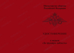 Медаль МО РФ «За трудовую доблесть» с бланком удостоверения (образец 2017 г.)