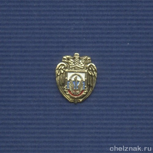 Знак фрачный «Академия ФАПСИ»