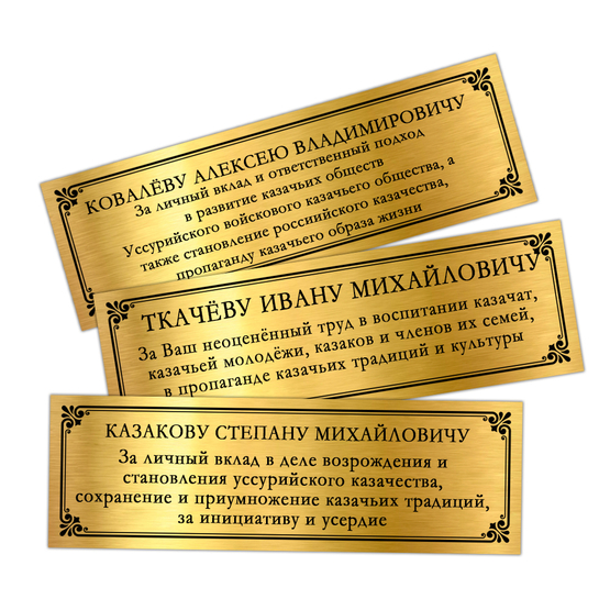 Наградное панно «450 лет Оренбургскому казачьему войску», дополнительное фото 1