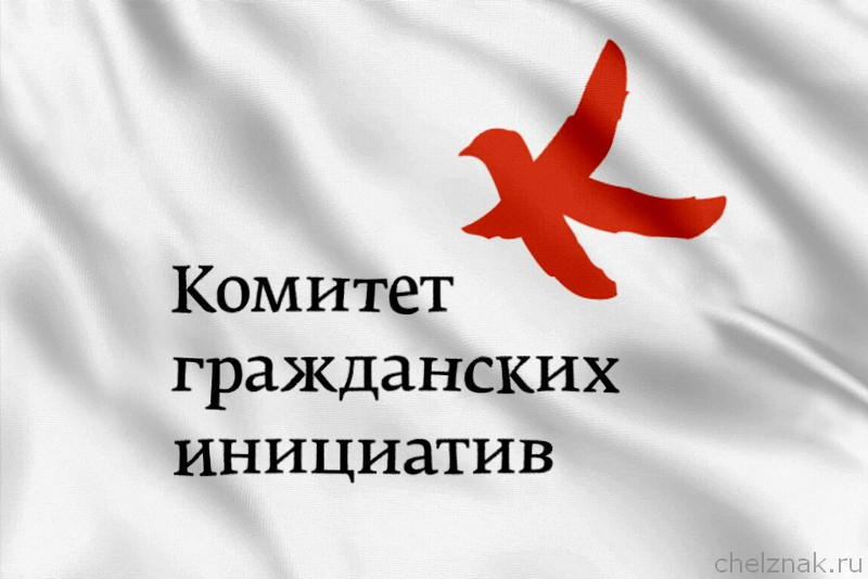 Флаг Комитет гражданских инициатив