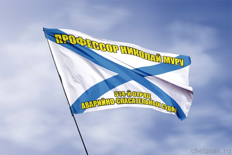 3D фото награды Андреевский флаг "Профессор Николай Муру"