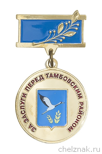Медаль «За заслуги перед Тамбовским районом»
