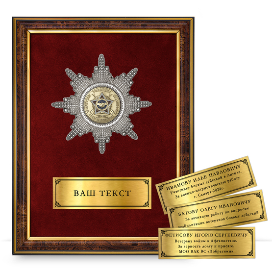 Лицевая сторона награды Панно с орденом «Участник локальных войн и военных конфликтов»