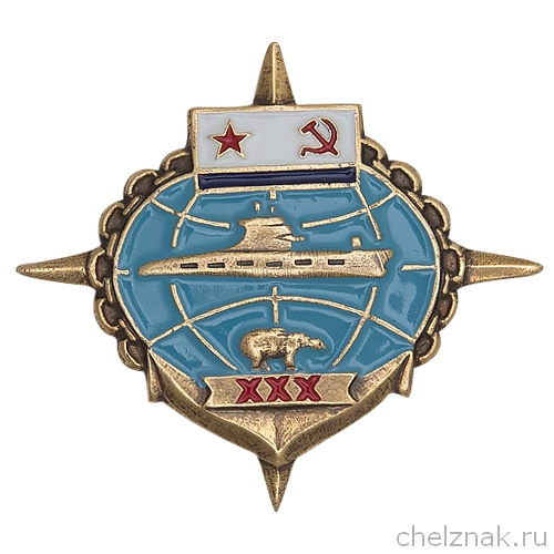Знак «30 лет ДПЛ СФ России»