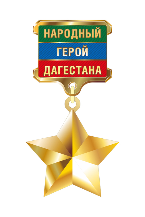 Знак отличия «Народный герой Дагестана» с бланком удостоверения