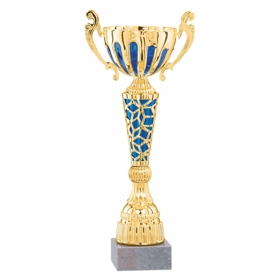 Лицевая сторона награды Кубок с ручками №127363, золото/синий
