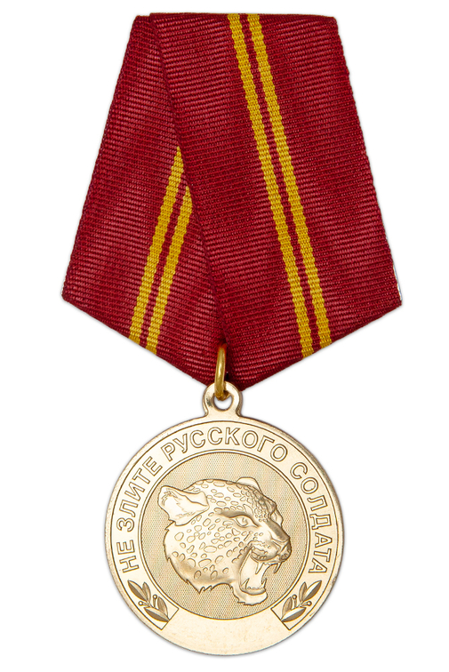 Медаль «Добровольческий отряд "БАРС"» с бланком удостоверения