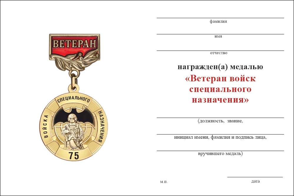 Бланк оборотная сторона Медаль «Ветеран войск специального назначения» с бланком удостоверения