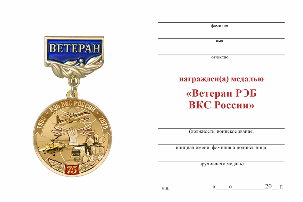Бланк оборотная сторона Медаль «Ветеран РЭБ ВКС России» с бланком удостоверения