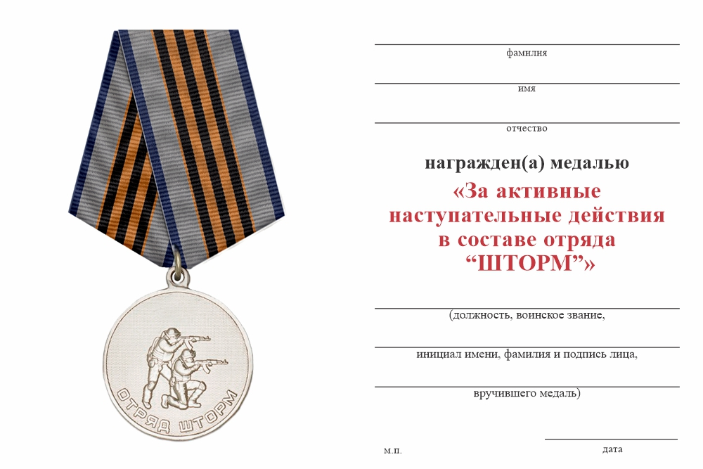 Бланк оборотная сторона Медаль «Отряд "ШТОРМ"» с бланком удостоверения