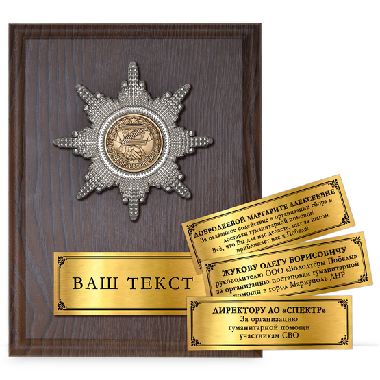 Лицевая сторона награды Наградная плакетка «За содействие СВО»