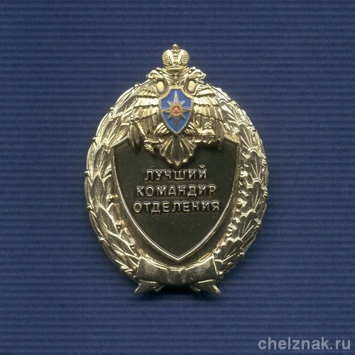 Знак МЧС России «Лучший командир отделения»
