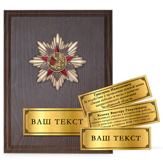 Лицевая сторона награды Наградная плакетка «80 лет Победы в Великой Отечественной войне»