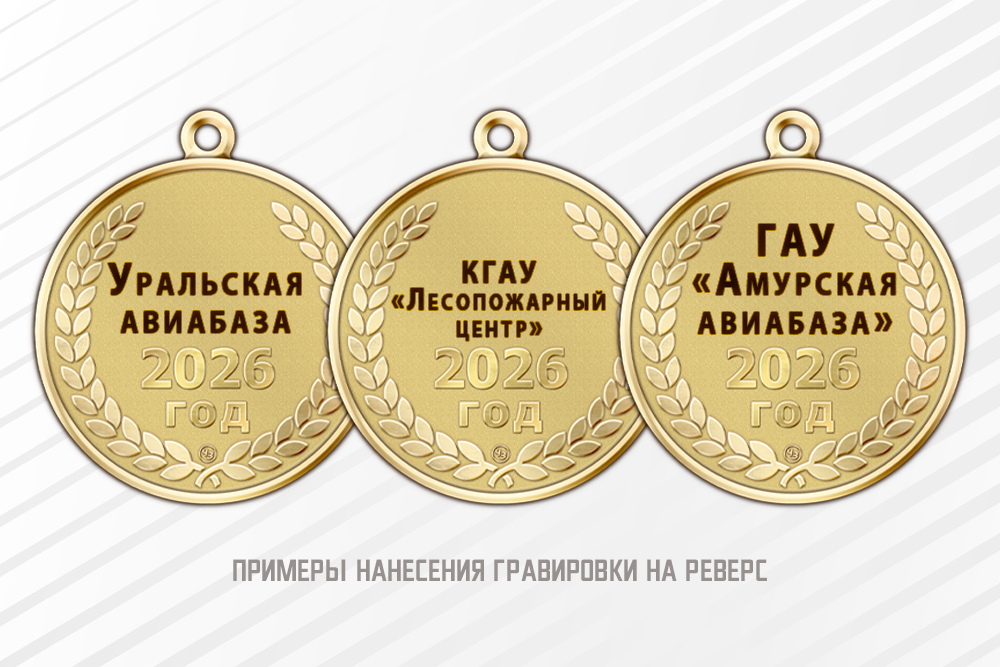 Медаль «95 лет АвиаЛесоОхране» с бланком удостоверения, дополнительное фото 1