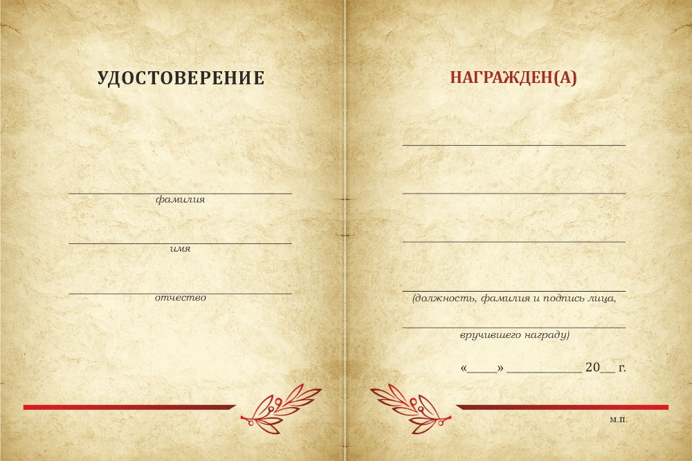 Бланк оборотная сторона Медаль «100 лет Карагинскому району Камчатского края» с бланком удостоверения