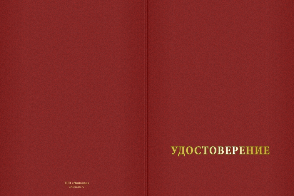 Бланк лицевая сторона Медаль «100 лет Усть-Большерецкому району Камчатского края» с бланком удостоверения