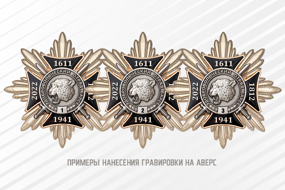 Орденский знак «За служение России в боевых добровольческих отрядах» с бланком удостоверения, дополнительное фото 1