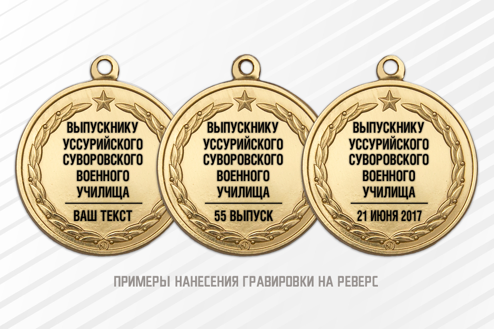 Медаль «Выпускник суворовского военного училища» с бланком удостоверения, дополнительное фото 1