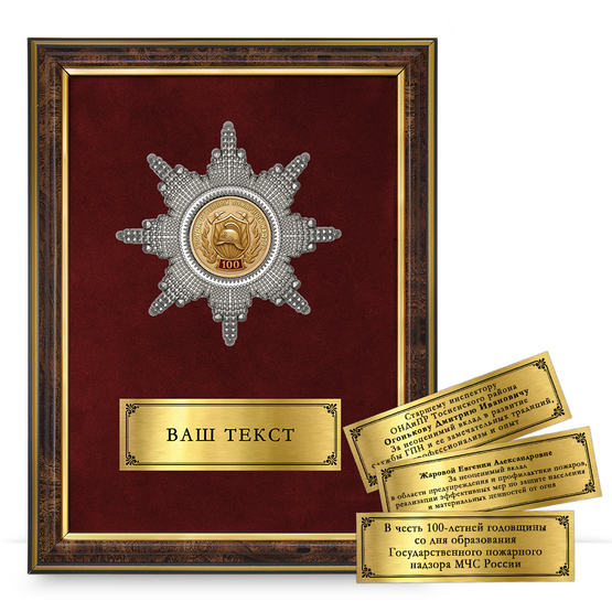 Лицевая сторона награды Панно наградное «100 лет ГПН МЧС России»