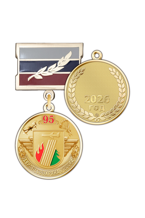 Памятный знак «95 лет АвиаЛесоОхране» с бланком удостоверения