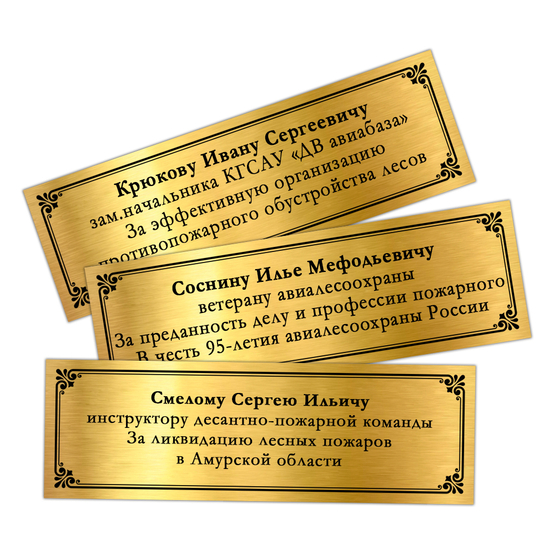 Наградное панно «95 лет АвиаЛесоОхране», дополнительное фото 1