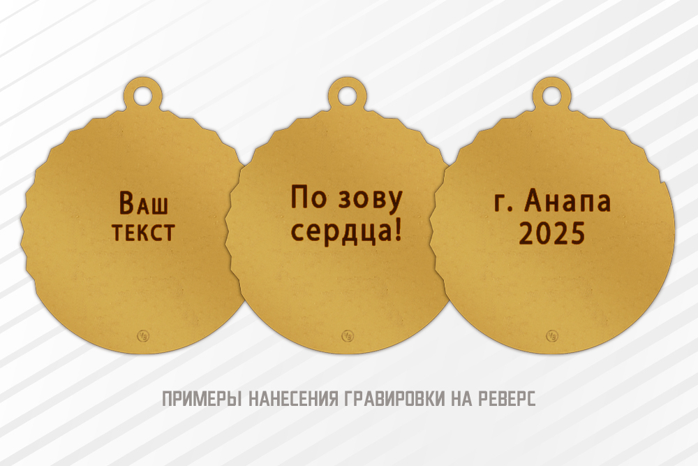 Медаль «Волонтёр» с бланком удостоверения, дополнительное фото 2