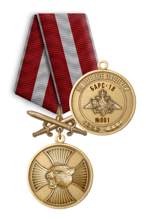 Медаль «Барс - 18. За боевые заслуги» 1 степени (с мечами)
