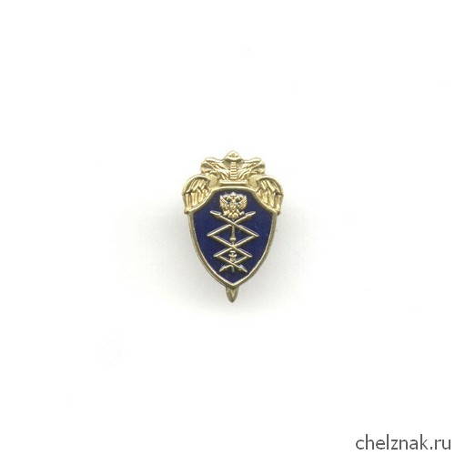 Знак «Управление Спецсвязи ФСО России»
