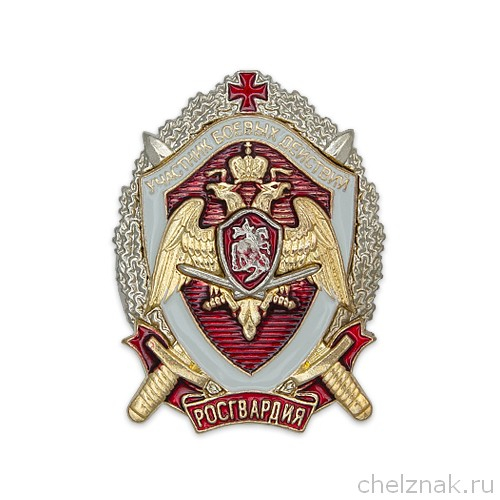 Нагрудный знак Росгвардии «Участник боевых действий» с бланком удостоверения