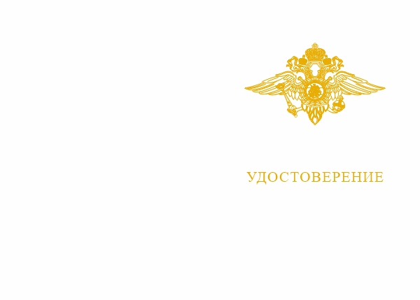 Лицевая сторона награды Знак «За отличие в службе ГИБДД» I ст., комплект с бланком удостоверения