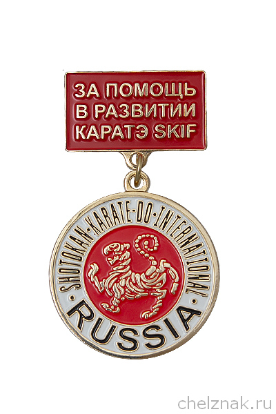 Медаль на колодке «За помощь в развитии каратэ SKIF»