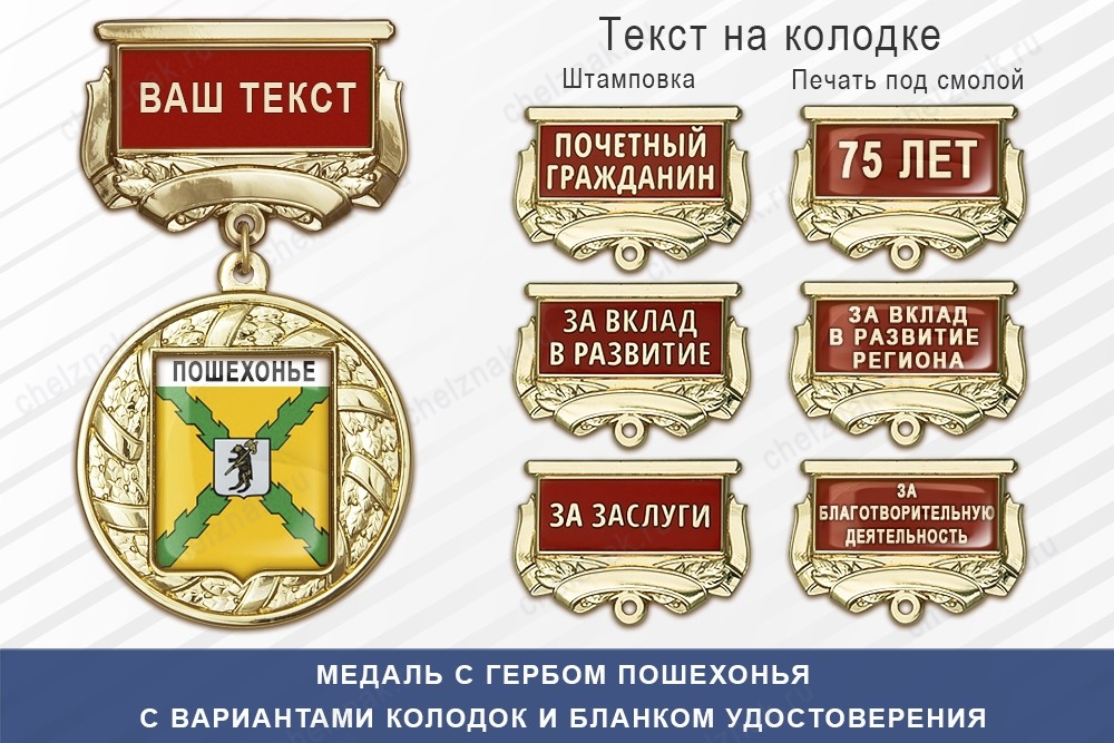 Медаль с гербом города Пошехонья Ярославской области с бланком удостоверения, дополнительное фото 1