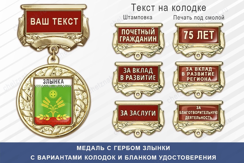 Медаль с гербом города Злынки Брянской области с бланком удостоверения, дополнительное фото 1