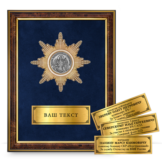 Лицевая сторона награды Панно с орденом «Защитнику Отечества на морях»