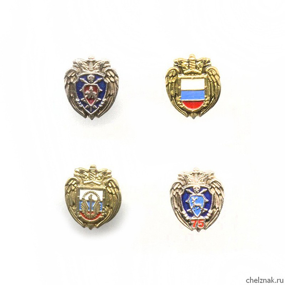 Комплект значков «ФСО России»