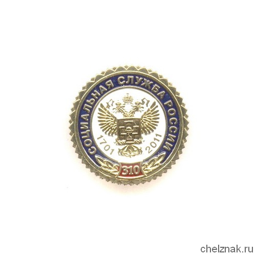 Знак «310 лет социальной службе России»