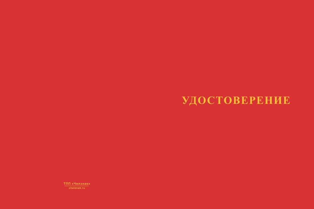Бланк лицевая сторона Медаль «Отцу (родственнику) участника СВО» с бланком удостоверения