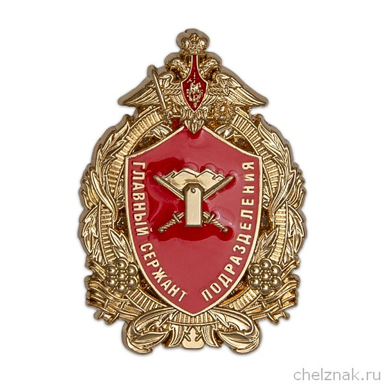 Знак «Главный сержант подразделения»