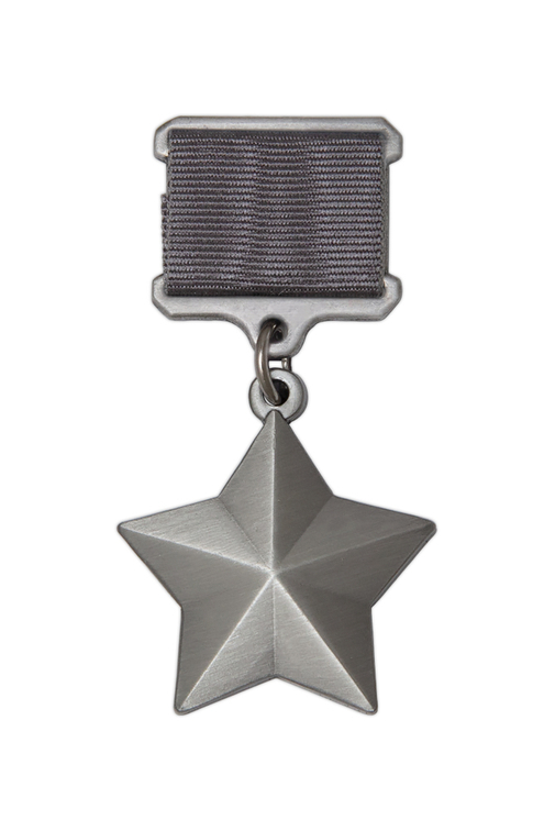 Медаль «Платиновая звезда Героя ЧВК Вагнер», муляж