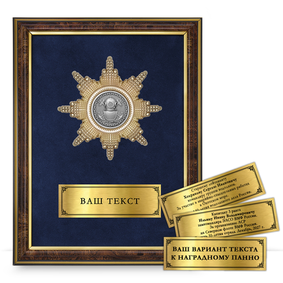 Лицевая сторона награды Панно с орденом «За заслуги в водолазном деле»