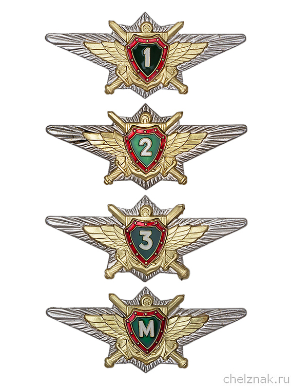 Знак классности ПУ ФСБ