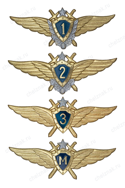 Знак классности ВВС нового образца