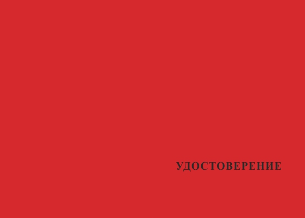 Лицевая сторона награды Типовой бланк удостоверения
