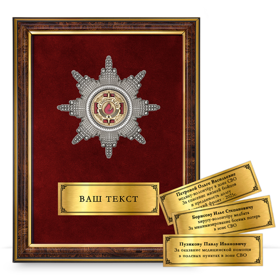 Лицевая сторона награды Наградное панно «Медицинскому работнику-волонтёру СВО»
