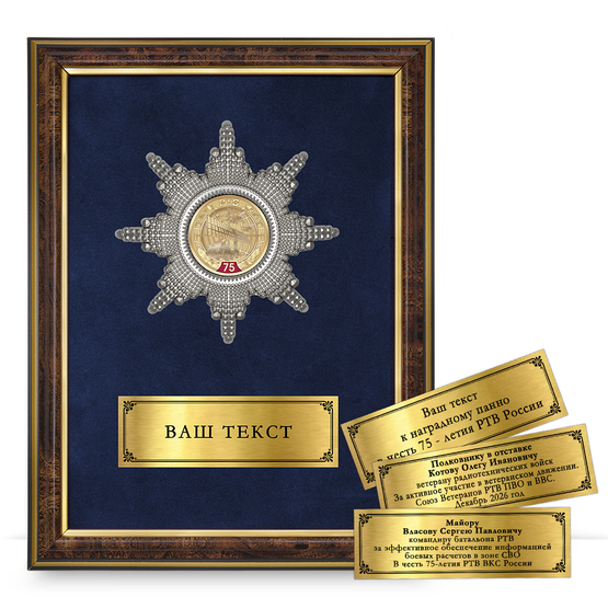 Лицевая сторона награды Панно наградное «За службу в РТВ ВКС России»