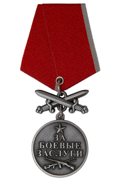 Медаль с мечами «Барс - 11. За боевые заслуги»