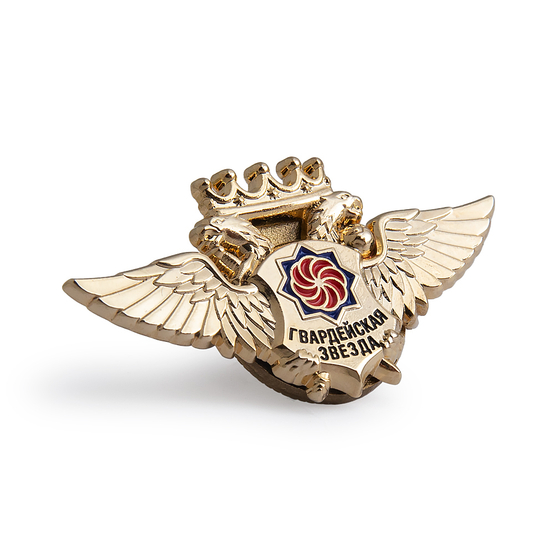 Знак нагрудный МОО ВПБ «ГВАРДЕЙСКАЯ ЗВЕЗДА»