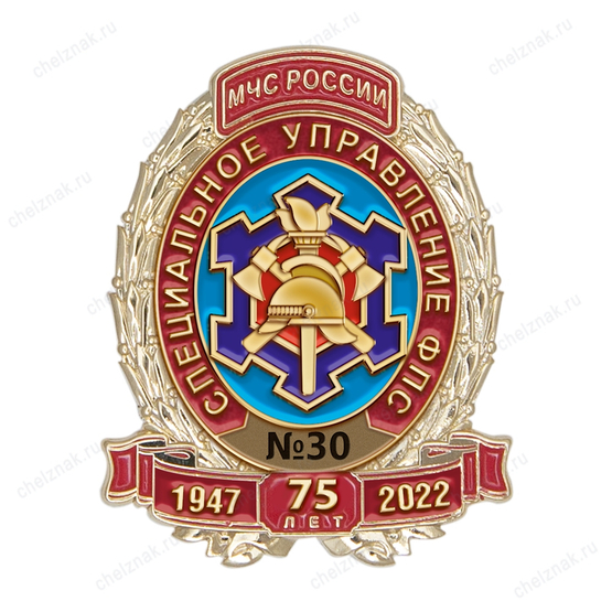Знак «75 лет специальным подразделениям ФПС»
